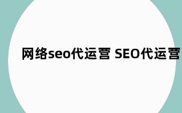 网络seo代运营 SEO代运营